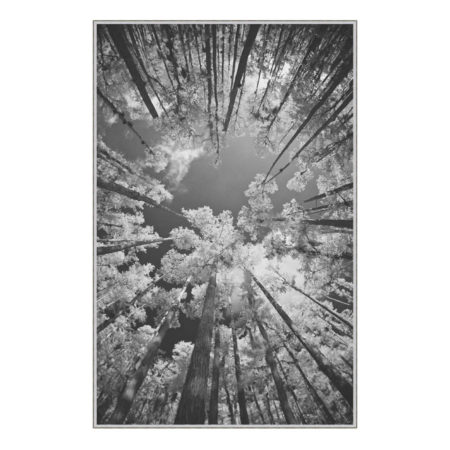 Teppichläufer Ruya 1902 Mehrfarben (3)