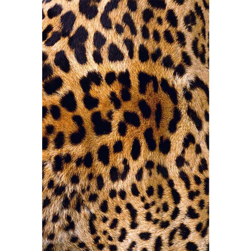 Teppichläufer Rekdi 2084 Mehrfarben (1)