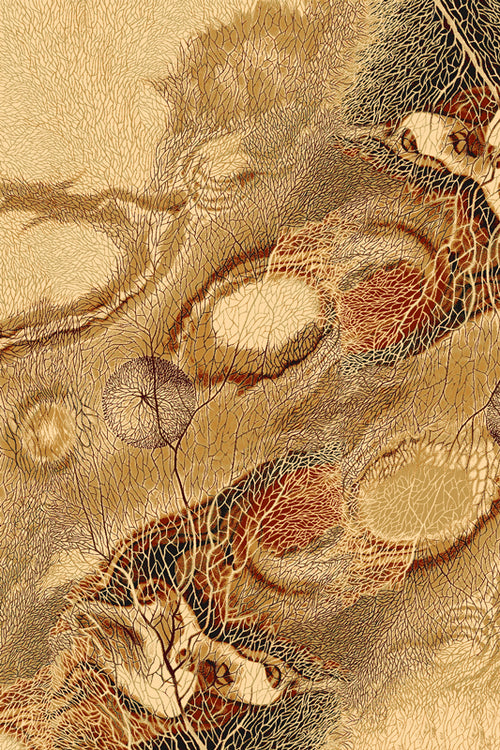 Teppich Wilton Bellona Amber