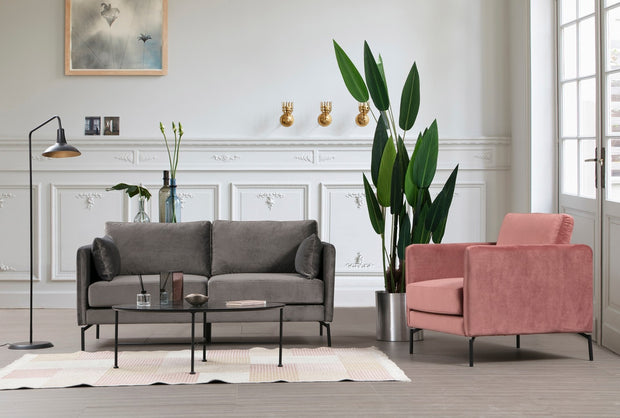 Sofa 2-Sitzer mit Samtstoff, Sino Grau (1)