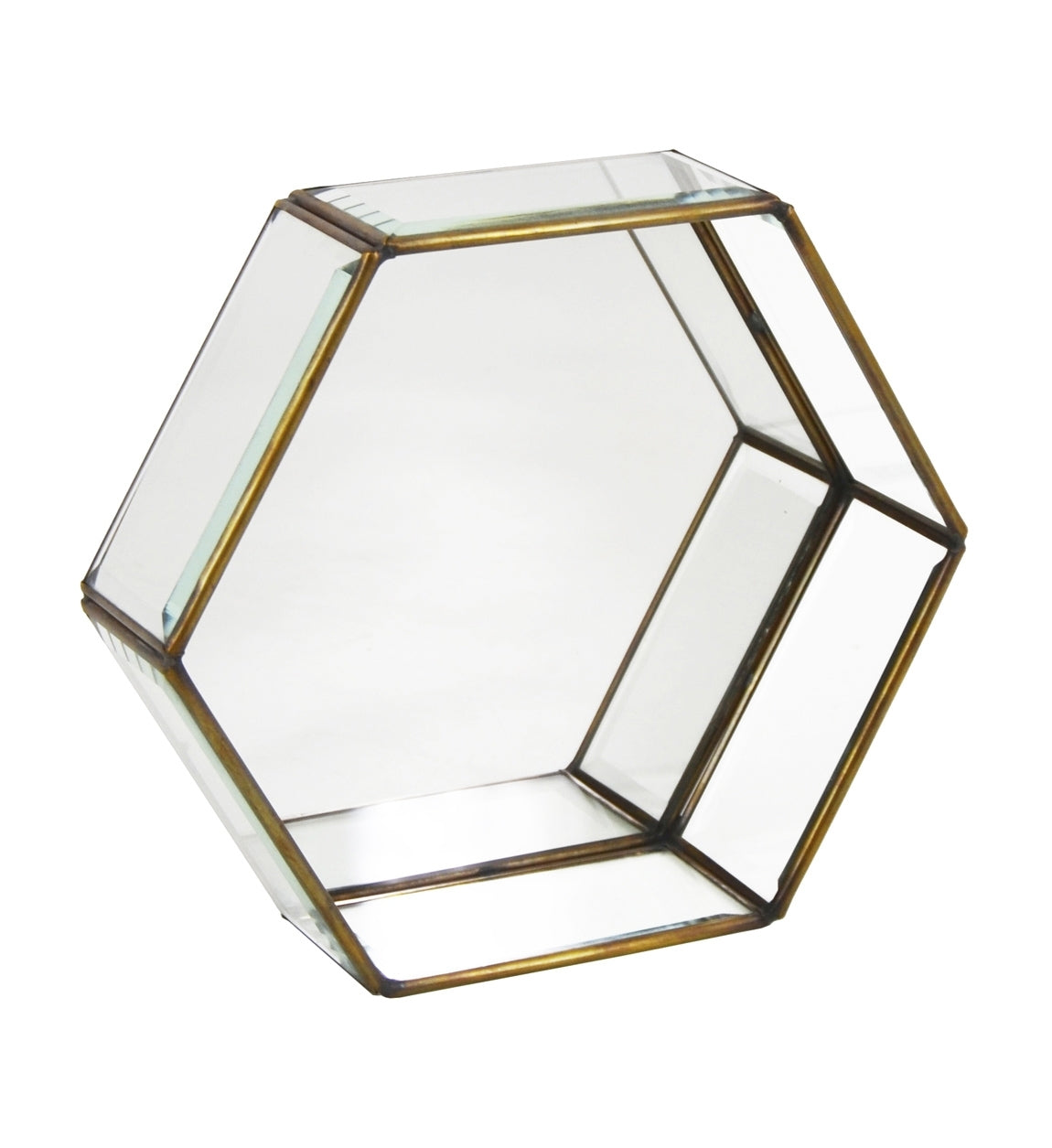 Aufbewahrungsbox Hexagonal Small Transparent (2)